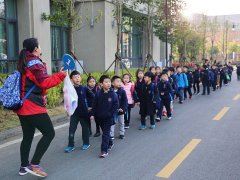 光谷外校自然博物系列研学“东湖落雁岛”篇